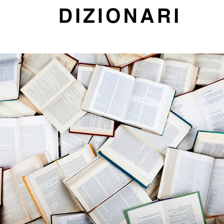 Dizionari