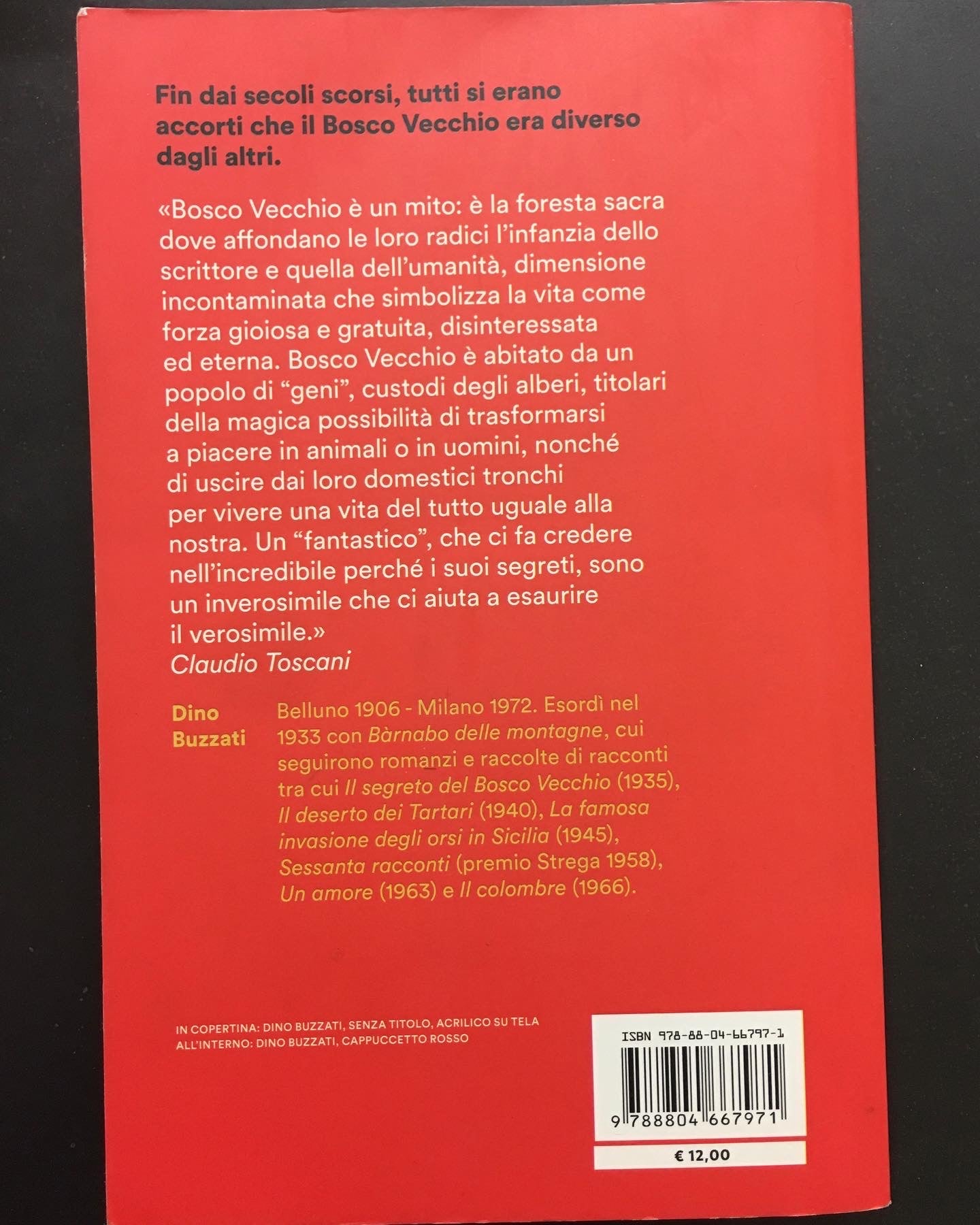 Il segreto del bosco vecchio